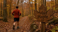 The Mad Maple at Hueston Woods